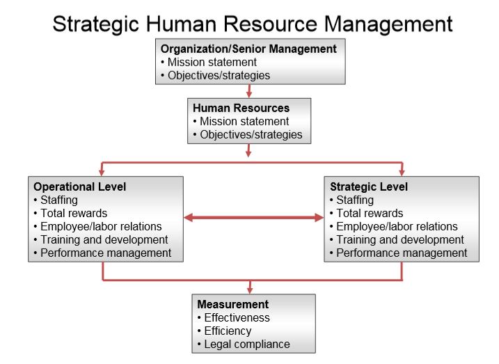 Strategic Human Resources Management And Planning